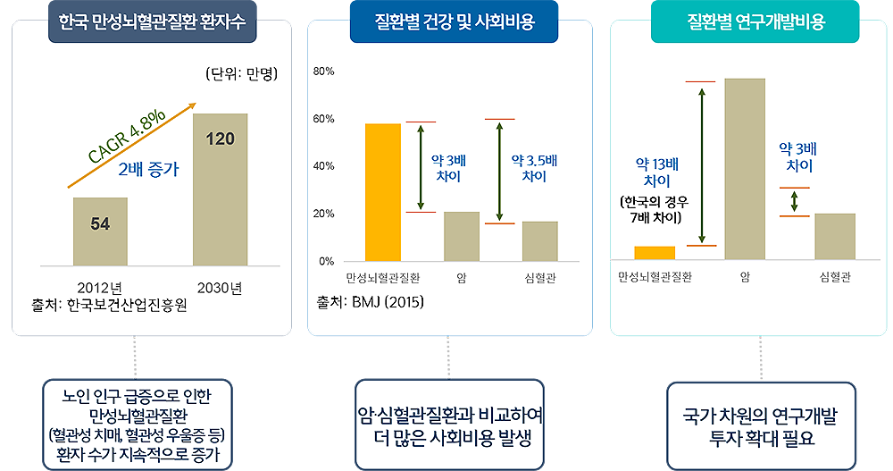 만성뇌혈관질환 연구개발의 필요성