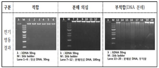 DNA 정도관리